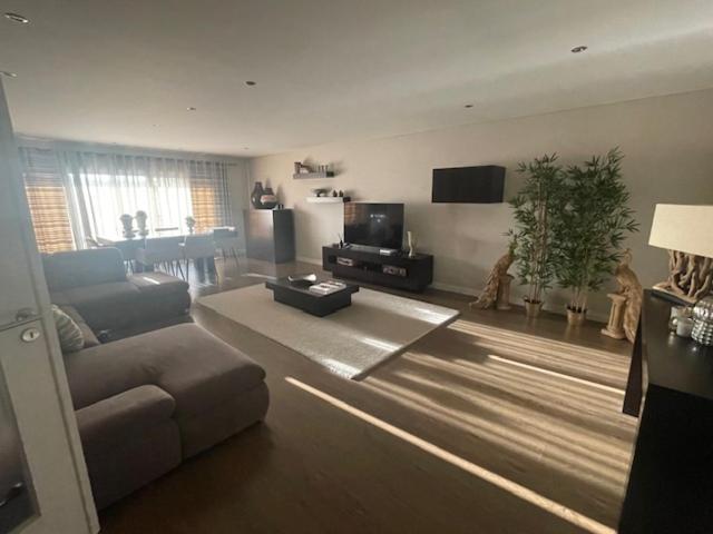 Luxor Daire Setúbal Dış mekan fotoğraf