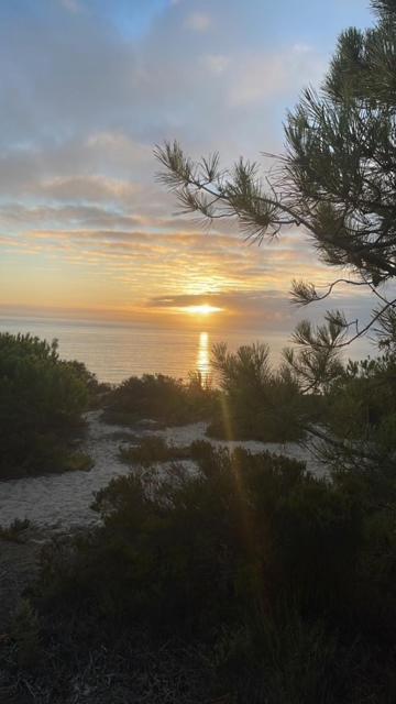 Luxor Daire Setúbal Dış mekan fotoğraf